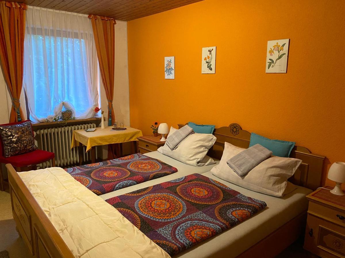 Pension Waldblick Spiegelau Extérieur photo