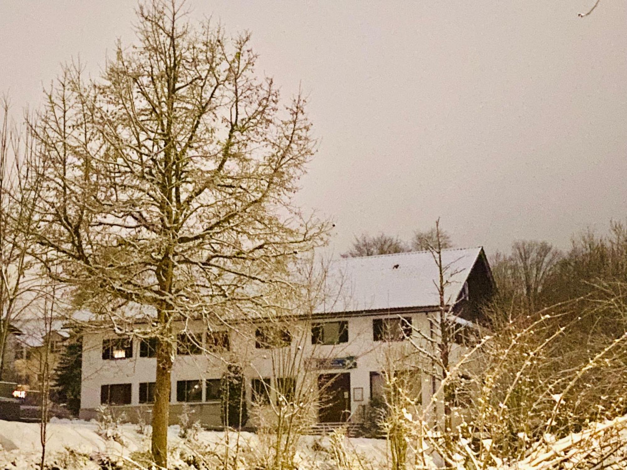 Pension Waldblick Spiegelau Extérieur photo
