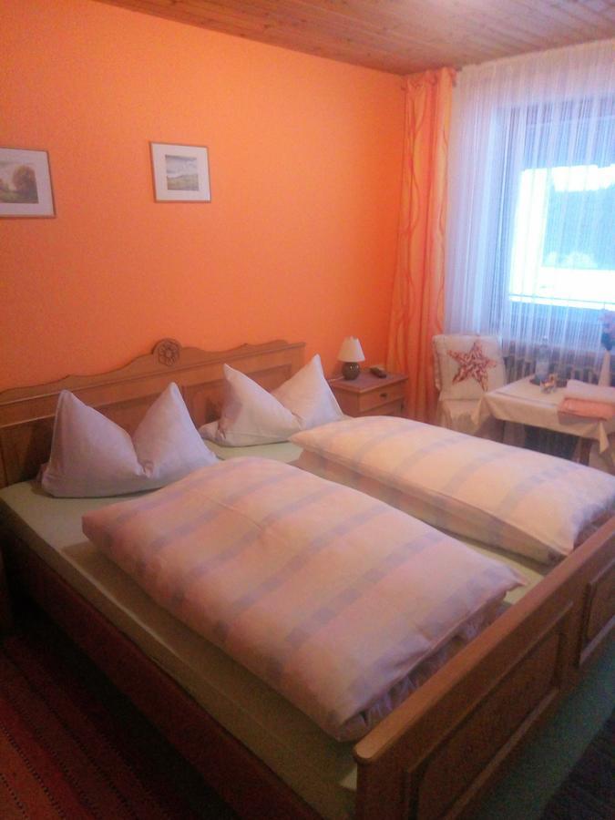 Pension Waldblick Spiegelau Extérieur photo