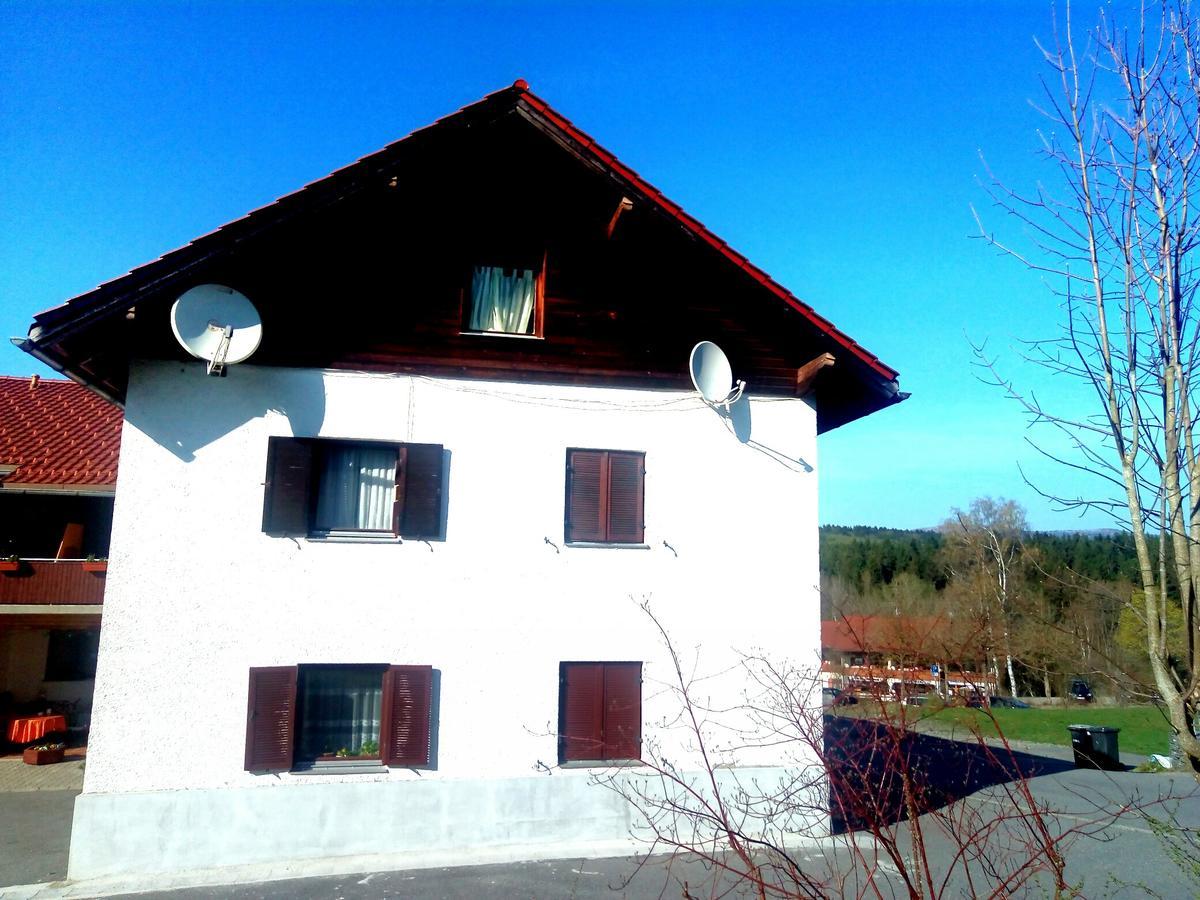 Pension Waldblick Spiegelau Extérieur photo