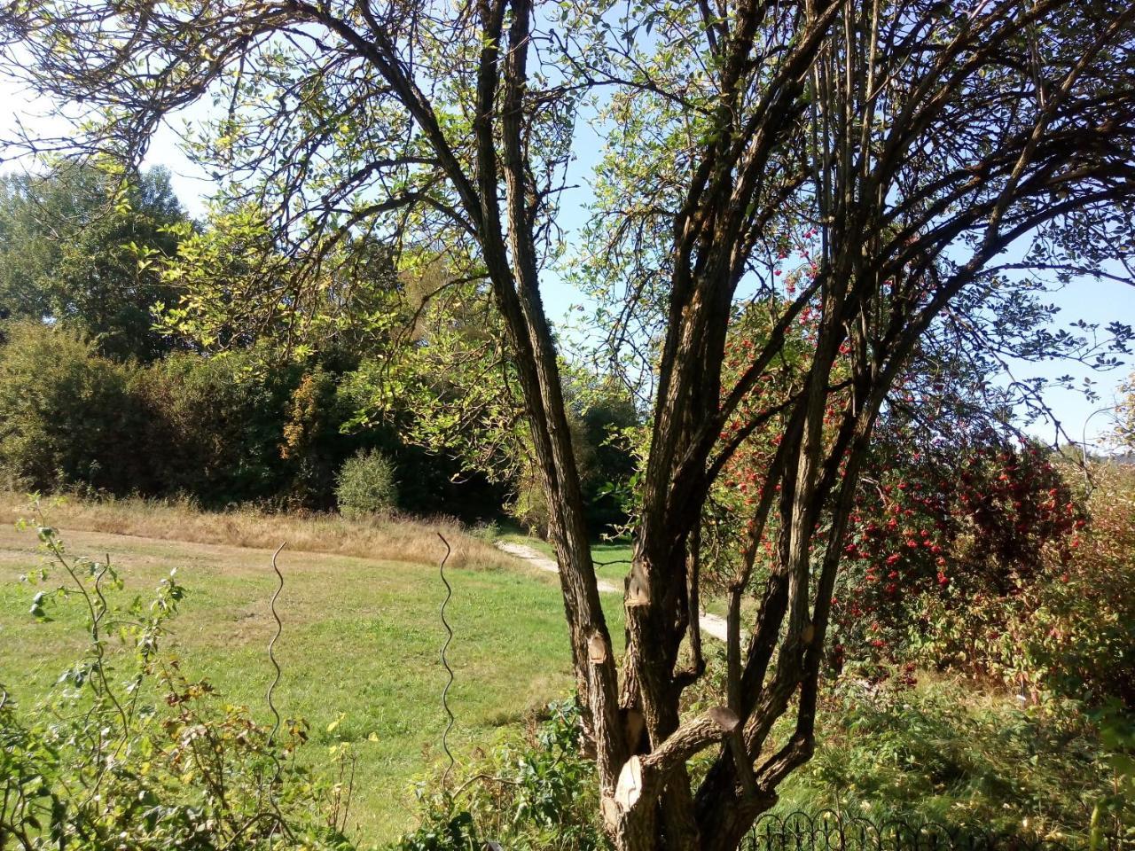 Pension Waldblick Spiegelau Extérieur photo