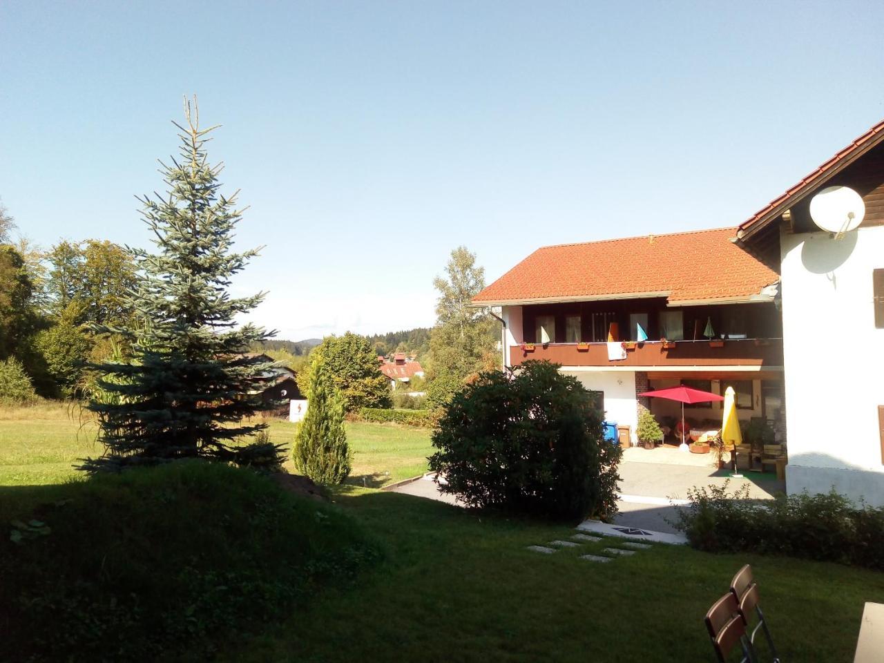 Pension Waldblick Spiegelau Extérieur photo