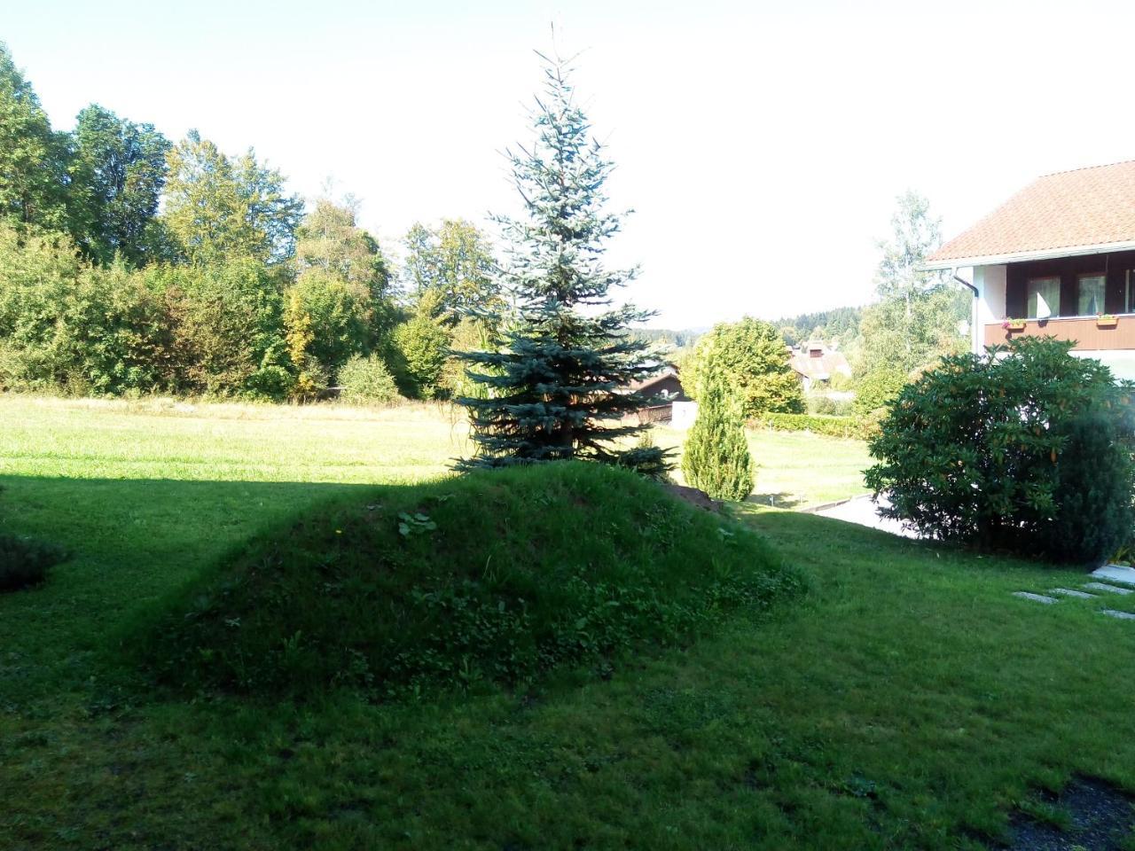 Pension Waldblick Spiegelau Extérieur photo